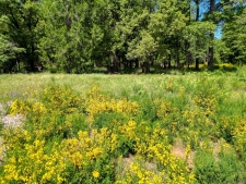 Listing Image #3 - Land for sale at 11620 Bitney Springs Road, Nevada City CA 95959