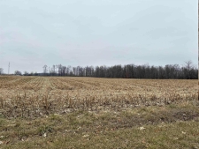 Listing Image #1 - Others for sale at 7300 CR 24 Road, Butler IN 46721
