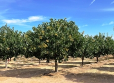 Others property for sale in Madera, CA