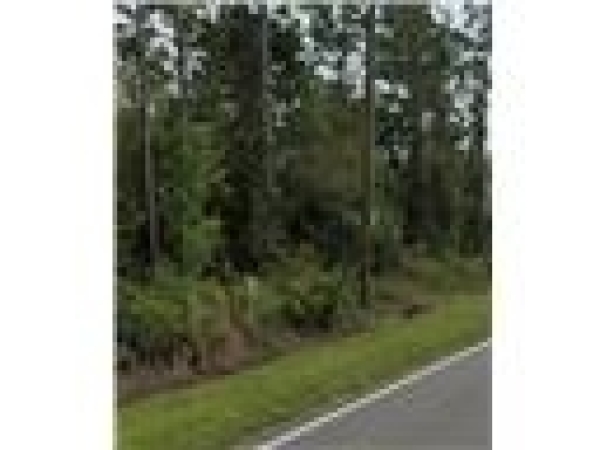 Listing Image #2 - Land for sale at 0 Dobbs Rd,, Saint Augustine FL 32086