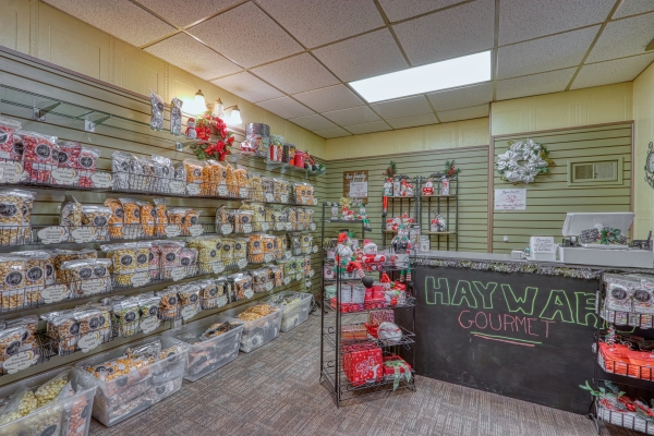 Listing Image #3 - Retail for sale at 10603 California Avenue, Hayward WI 54843