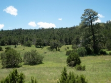 Listing Image #1 - Others for sale at 50 Ac Se S:34 T:7 R:6, Tajique NM 87016