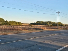 Listing Image #2 - Land for sale at 0 Ga Hwy 41 South, Buena Vista GA 31803
