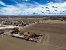 Others property for sale in Delta, CO