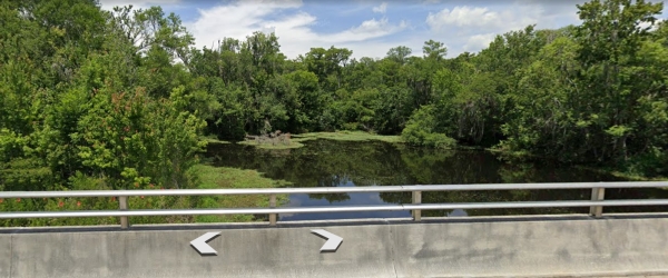 Listing Image #4 - Land for sale at 8195 STATE ROAD 207, Hastings FL 32145