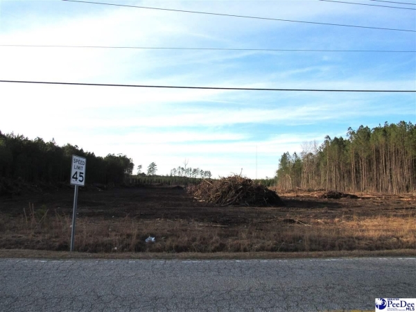 Listing Image #2 - Others for sale at TBD TV Road, Florence SC 29501