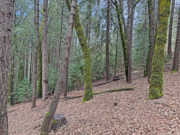 Listing Image #3 - Land for sale at 17871 Rollins View Drive, Grass Valley CA 95945