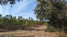 Listing Image #3 - Land for sale at 104.7 ac Off Dixie (ne 30th St) Highway, High Springs FL 32643