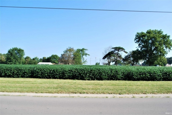 Listing Image #2 - Land for sale at 4917 N Wheeling Parcel A Avenue, Muncie IN 47304