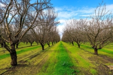 Listing Image #2 - Land for sale at 6318 S Prairie Flower Road, Turlock CA 95380