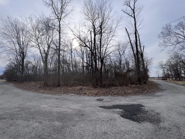 Listing Image #3 - Land for sale at 11 Choctaw Drive, Carbondale IL 62901