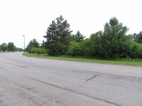 Listing Image #2 - Land for sale at 1 Apple Street, Wisconsin Rapids WI 54494