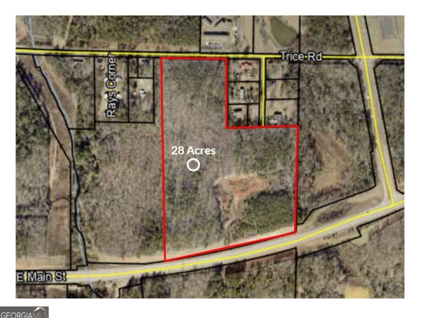 Listing Image #2 - Land for sale at 0 Highway 74, Thomaston GA 30286