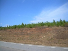 Land for sale in Thomaston, GA