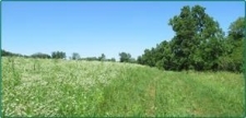 Others property for sale in Central City, IA