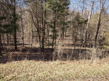 Land for sale in Palmyra, TN