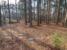 Listing Image #3 - Land for sale at 7603 Sorrells Rd, Pine Bluff AR 71603