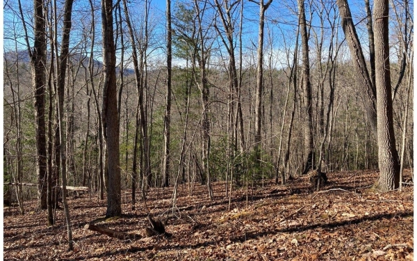 Listing Image #2 - Land for sale at 31 High Ridge Road, Murphy NC 28906