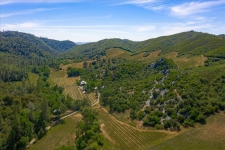 Others property for sale in Murphys, CA