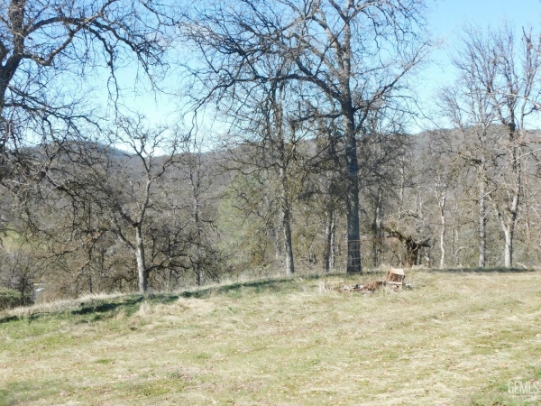 Listing Image #2 - Land for sale at Oak Drive, POSEY CA 93260