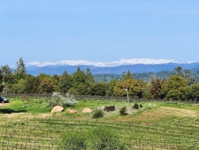 Listing Image #1 - Land for sale at 11777 E Shenandoah Road, Plymouth CA 95669