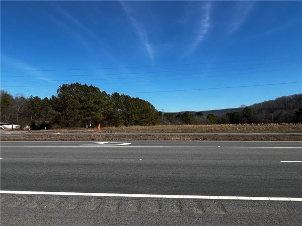 Listing Image #2 - Land for sale at 0 S 27 Highway, Trion GA 30753