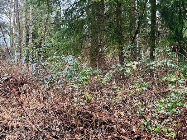 Listing Image #2 - Land for sale at 11829 174TH AVENUE NE, ARLINGTON WA 98223
