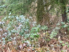 Land property for sale in ARLINGTON, WA