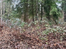 Listing Image #3 - Land for sale at 11829 174TH AVENUE NE, ARLINGTON WA 98223