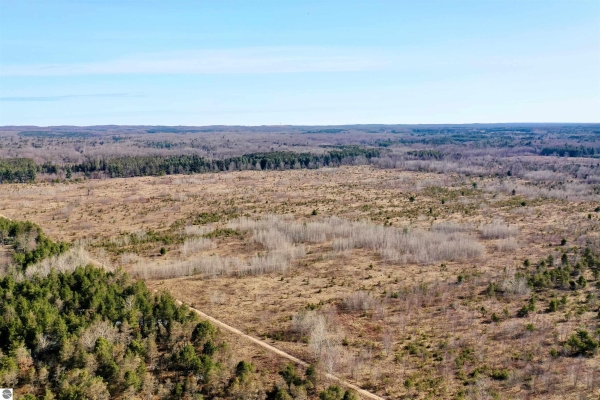 Listing Image #3 - Land for sale at 39 Road, Cadillac MI 49601