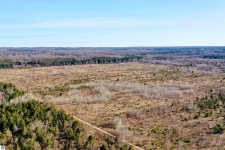 Listing Image #3 - Land for sale at 00 39 Road, Cadillac MI 49601