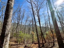 Listing Image #1 - Land for sale at Nelson Ridge, Hayesville NC 28904