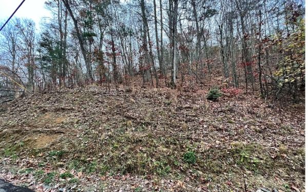 Listing Image #2 - Land for sale at L449 Mountain Tops Road, Blue Ridge GA 30513