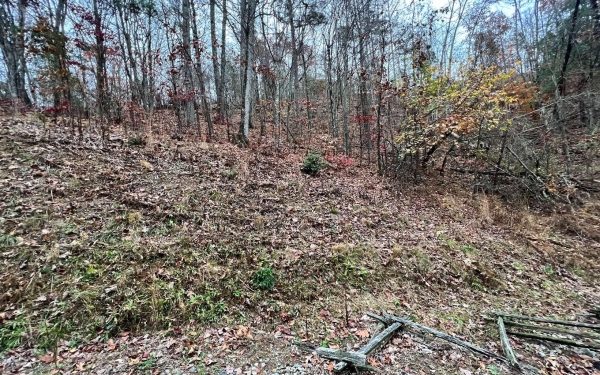 Listing Image #3 - Land for sale at L449 Mountain Tops Road, Blue Ridge GA 30513