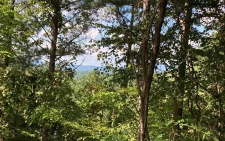 Listing Image #2 - Land for sale at LOT 9 Aerie Vista Drive, Murphy NC 28906