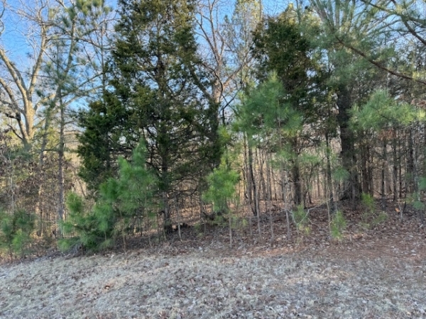 Listing Image #2 - Land for sale at 00 US Hwy 68, Benton KY 42025