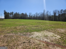Listing Image #3 - Others for sale at 8160 County Road 87, Lanett AL 36863