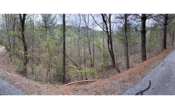 Listing Image #1 - Land for sale at LT 54 Choctaw Ridge Trail, Murphy NC 28906