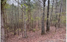 Listing Image #2 - Land for sale at LT 54 Choctaw Ridge Trail, Murphy NC 28906