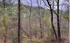 Listing Image #3 - Land for sale at LT 54 Choctaw Ridge Trail, Murphy NC 28906