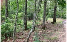 Listing Image #1 - Land for sale at Mouse Creek, Murphy NC 28906
