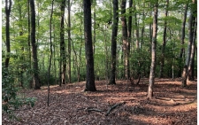Listing Image #1 - Land for sale at 37 Pine Cove, Murphy NC 28906