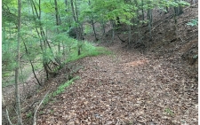 Listing Image #3 - Land for sale at 37 Pine Cove, Murphy NC 28906