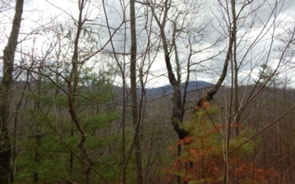 Listing Image #3 - Land for sale at 15 View Ridge Trail, Murphy NC 28906