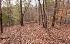 Listing Image #3 - Land for sale at 96/97 Mountain Creek Hollow, Talking Rock GA 30175