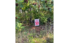 Listing Image #2 - Land for sale at LT 50 White Pine Ridge, Ellijay GA 30540