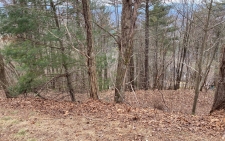 Listing Image #2 - Land for sale at LT 58 Mountain Top Road, Blairsville GA 30512