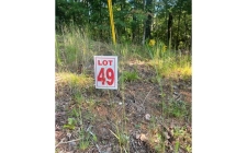 Listing Image #2 - Land for sale at LT 49 White Pine Ridge, Ellijay GA 30540