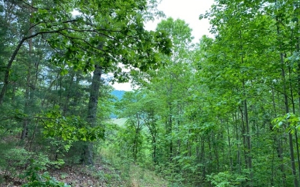 Listing Image #3 - Land for sale at L5,13 Town View Circle, Blairsville GA 30512