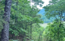 Listing Image #1 - Land for sale at L5,13 Town View Circle, Blairsville GA 30512